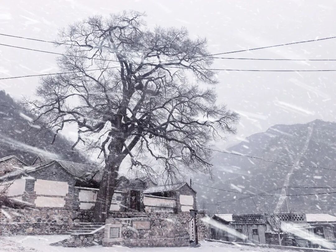 京郊賞雪寶藏線路 解鎖冬日限時浪漫