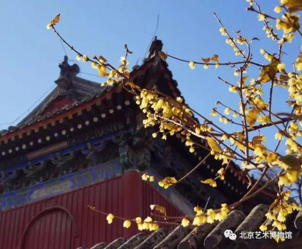 北京藝術博物館.展覽推介