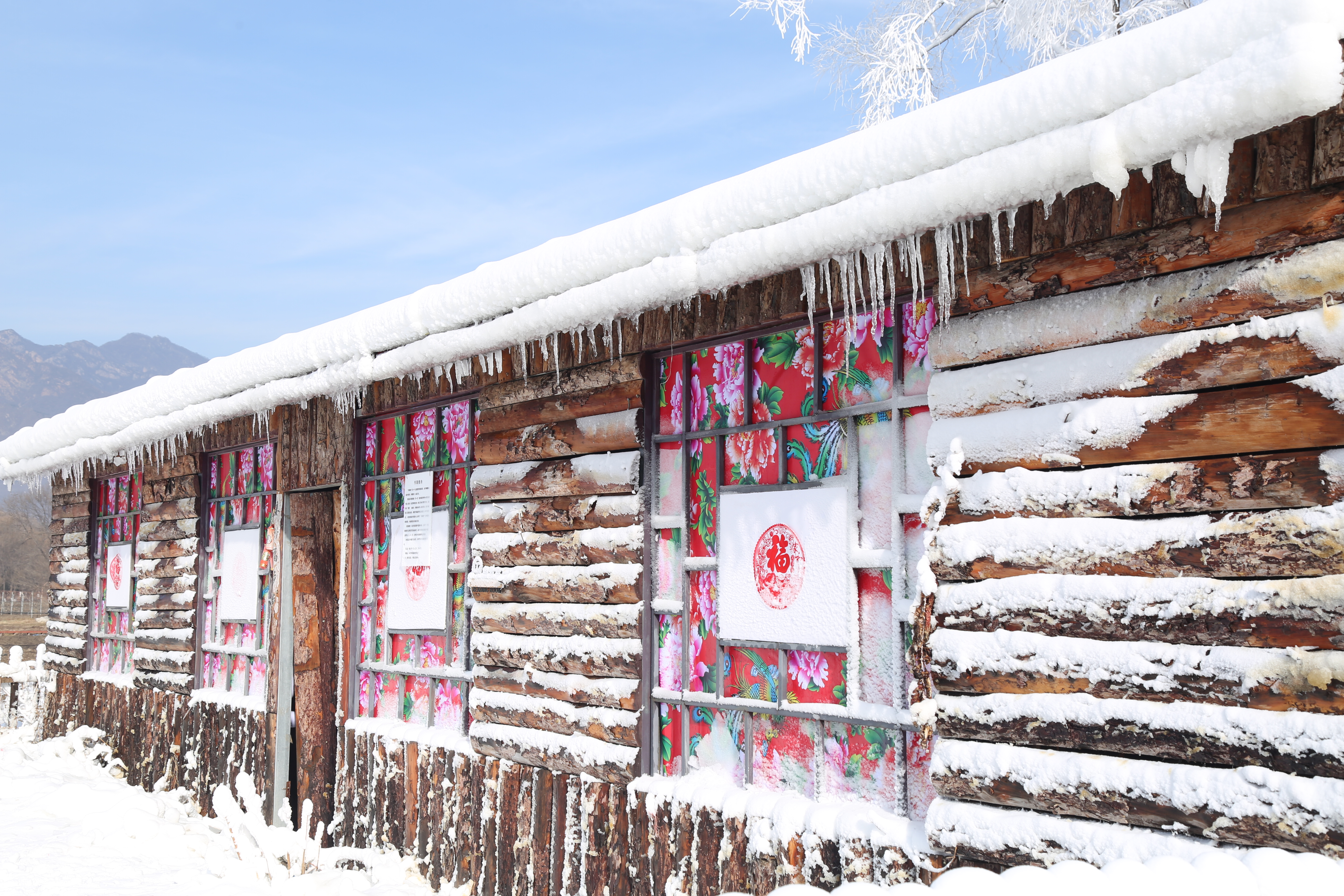世界葡萄博覽園冰雪嘉年華 世界葡萄博覽園冰雪嘉年華