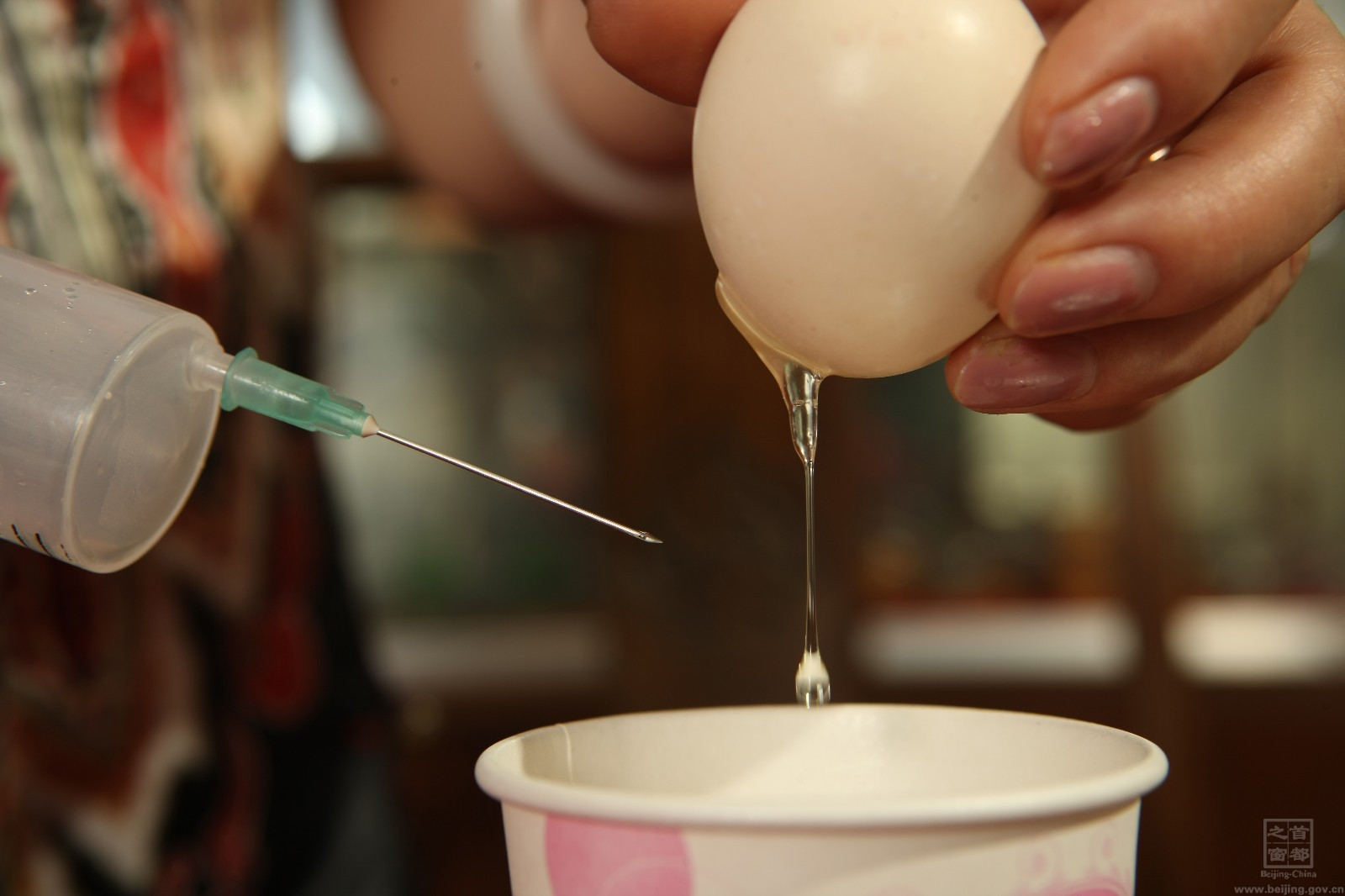 把蛋液清理幹淨,這個過程需要往蛋內打水反複清洗。.jpg 把蛋液清理幹淨,這個過程需要往蛋內打水反複清洗。.jpg