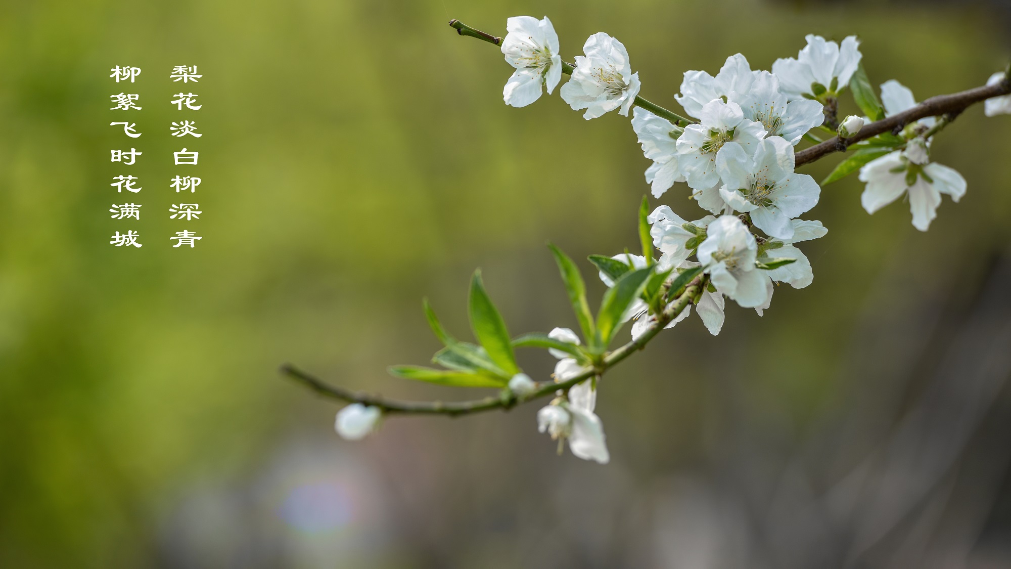 驚蟄.jpg 驚蟄.jpg