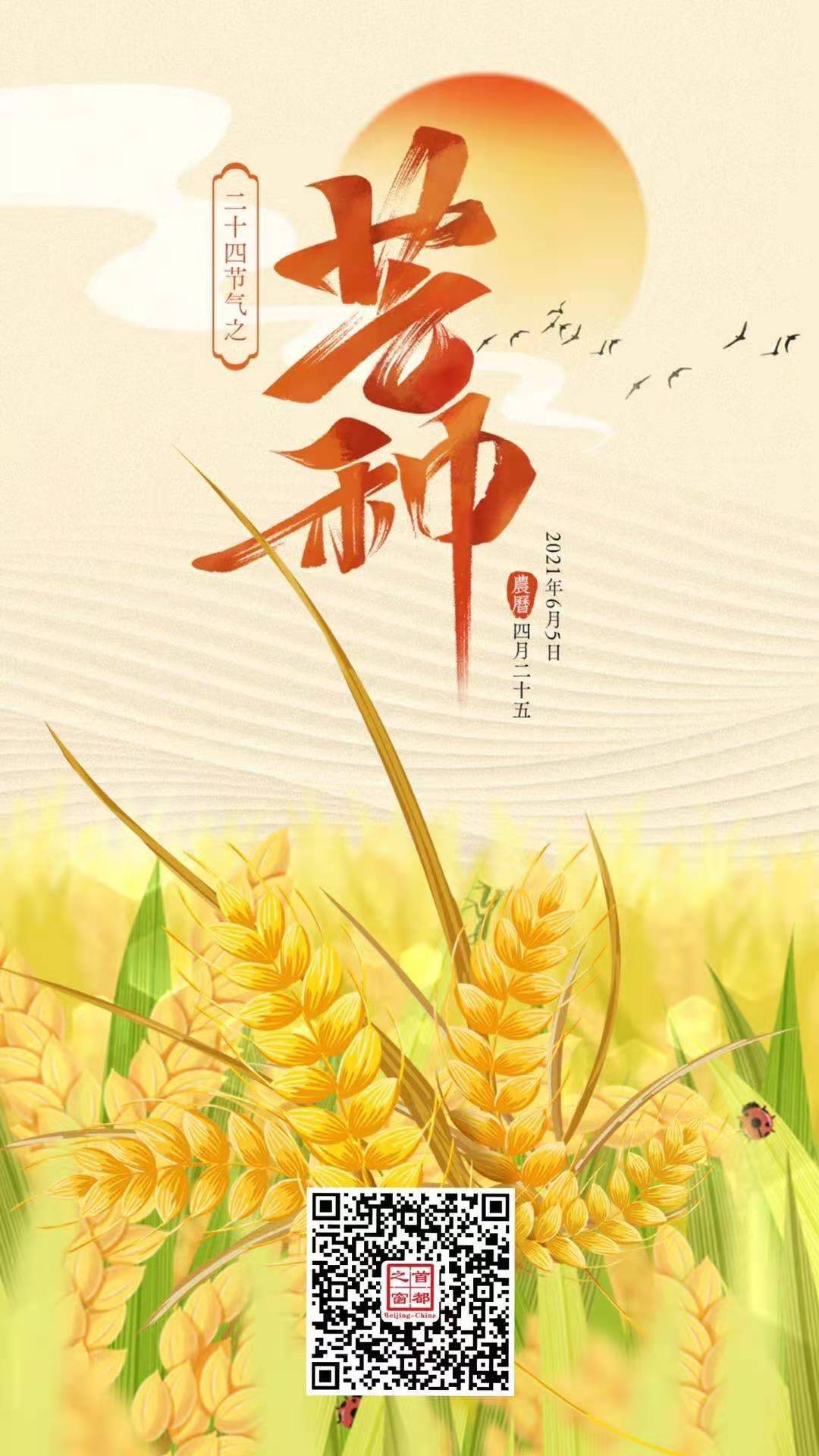 芒種.jpg 芒種.jpg