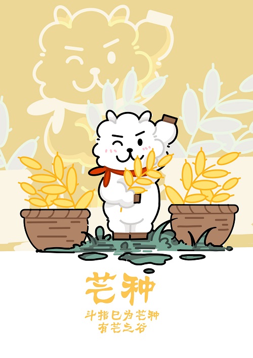 張曉婷.jpg 張曉婷.jpg