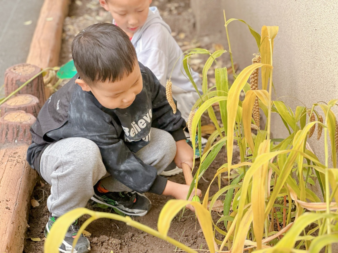 教育學生珍惜勞動成果
