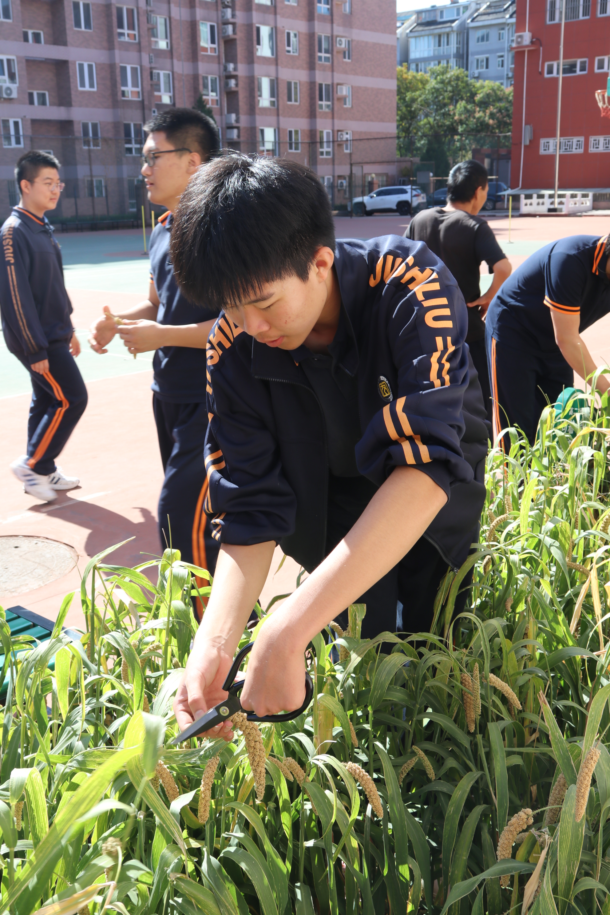 學農——潤知於行培養傳統美德