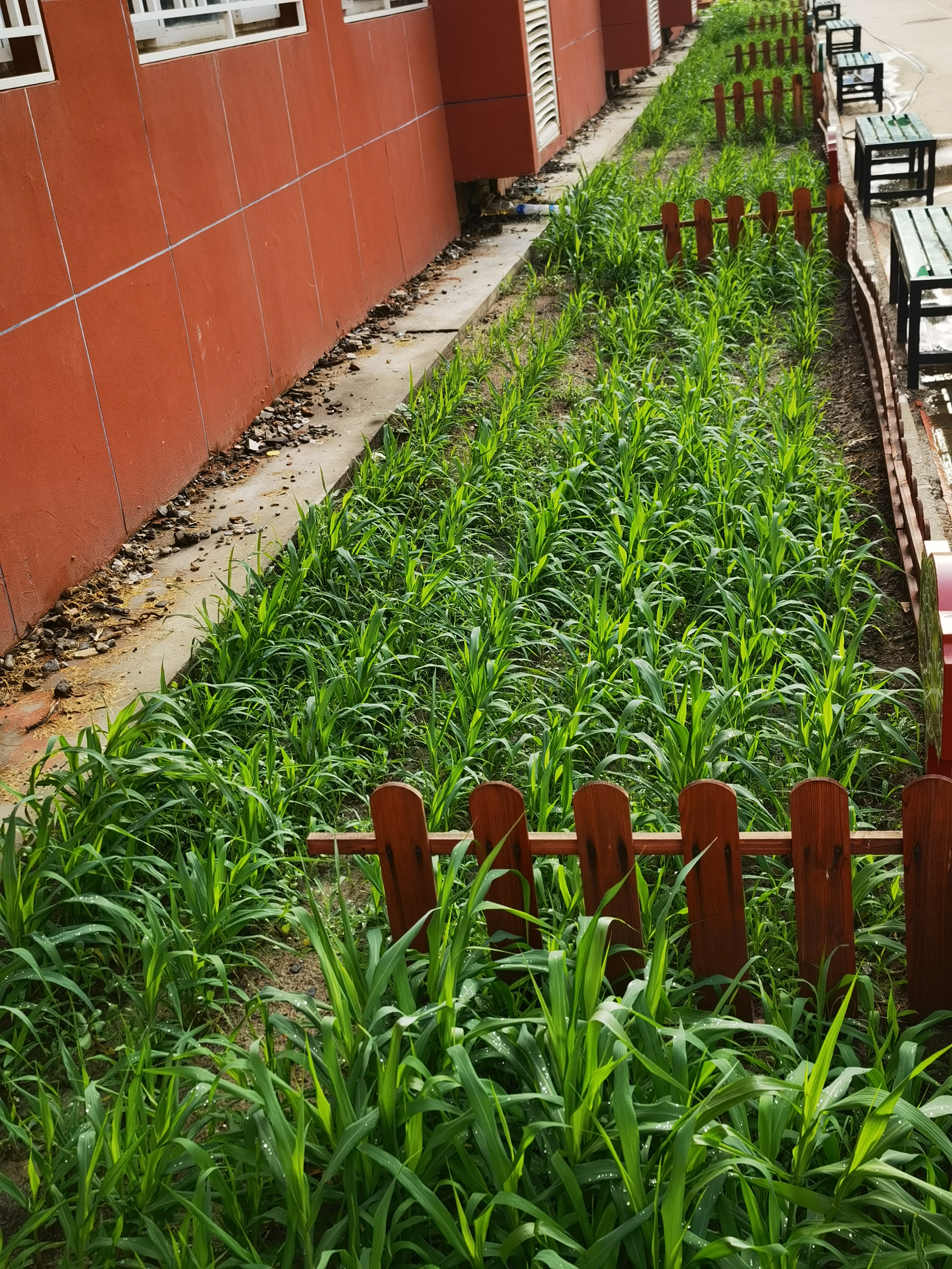 敬農——實踐育人促進知行合一