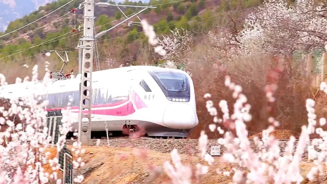 四條密雲春日賞花線路
