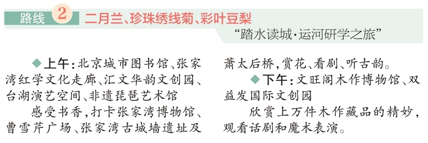 四條“賞花+”特色路線遊遍副中心