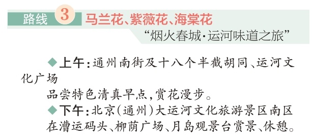 四條“賞花+”特色路線遊遍副中心