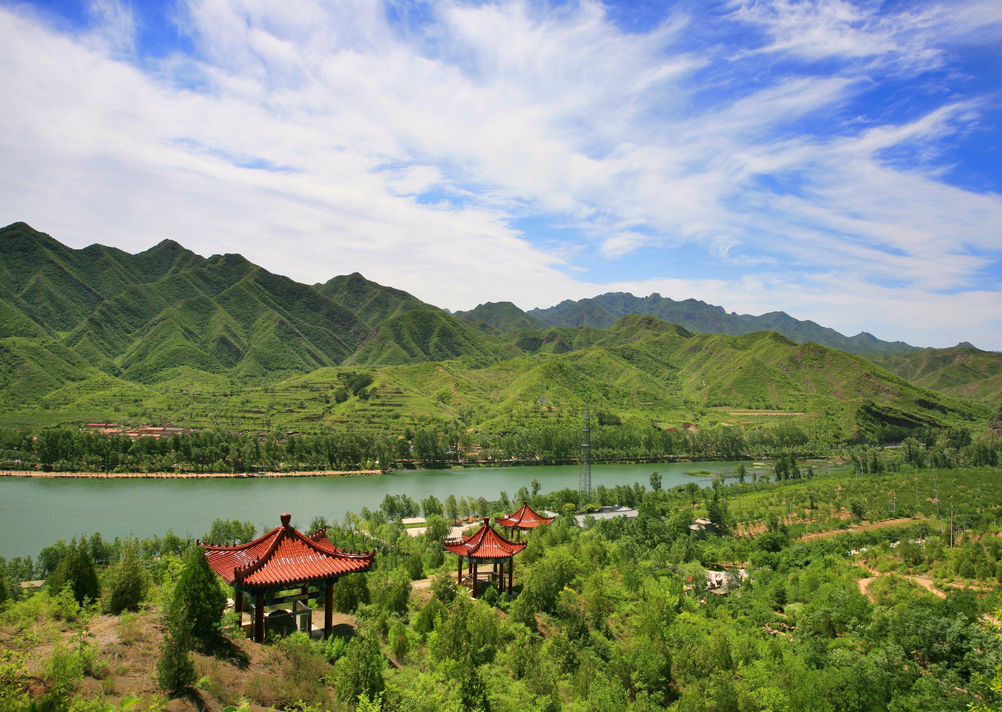 線路六矽化木保護亭