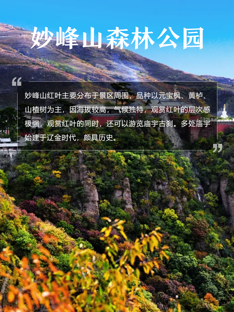 妙峰山森林公園