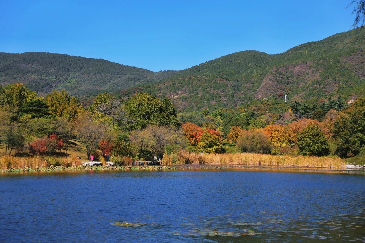 國家植物園進入彩葉最佳觀賞期
