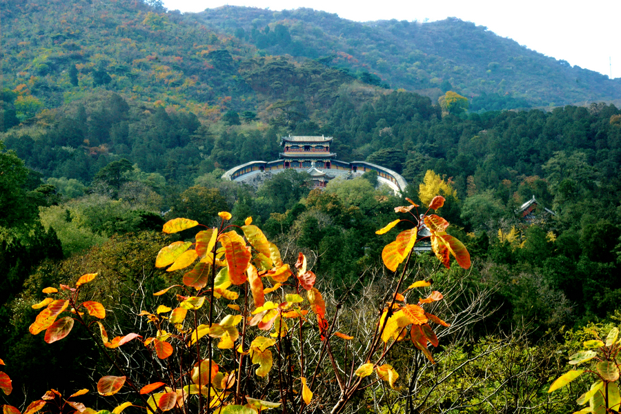 香山 靜宜園 香山 靜宜園