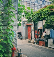 京城之美·胡同