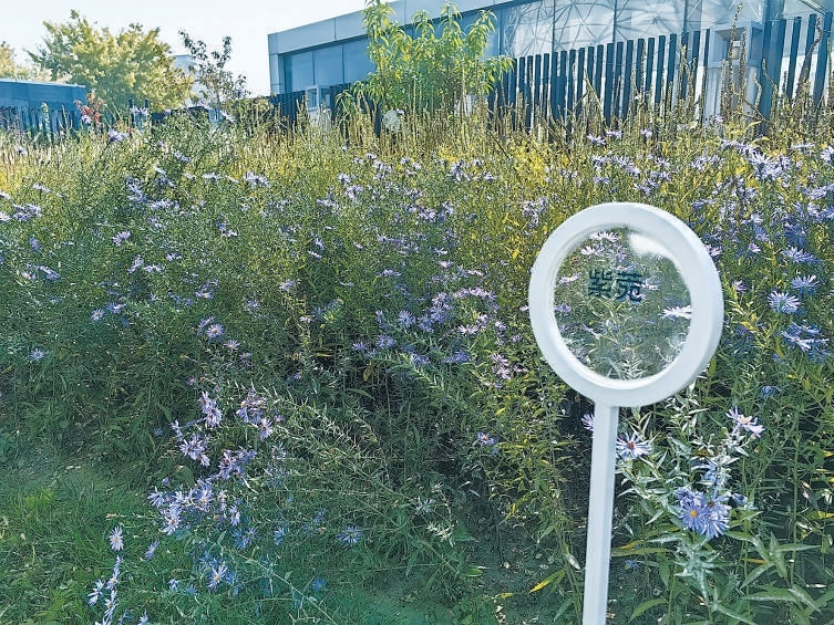 花園各處巧妙設置展示牌，向參觀者傳播花卉種類等知識。