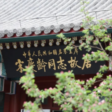 名人故事 | 偉大女性宋慶齡