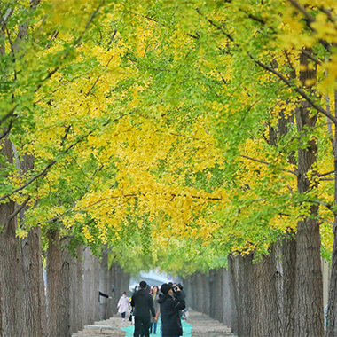 北平之秋便是天堂