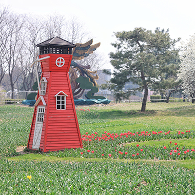 北京植物園春花交相輝映