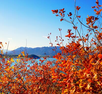 蟒山國家森林公園