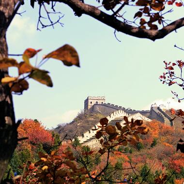 長城秋色濃