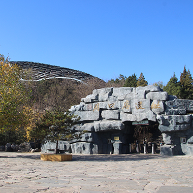 探秘遠古人類演化驛站