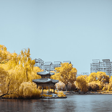 ​紅外攝影，不一樣的世界