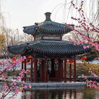 初春的大觀園處處詩意