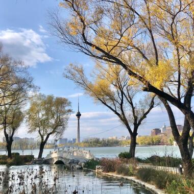 北京深秋