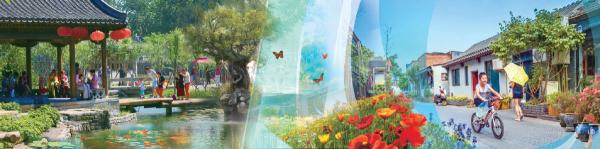 “居家過日子”越來越便利 “居家過日子”越來越便利