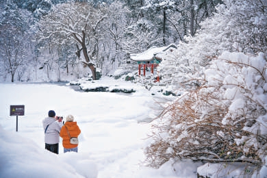 雪後的香山公園化作銀裝素裹的水墨畫，呈現自然秀麗的冬日美景。