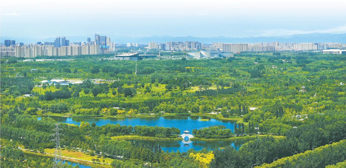 從城市綠心森林公園遠眺，三大文化建築與副中心城區既和諧共生又異彩紛呈，魅力無限。