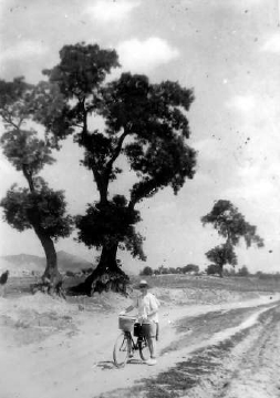 用自行車為八路軍運送藥品的貝熙葉。