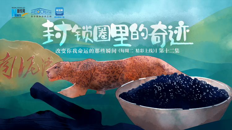 改變你我命運的那些瞬間 | 第十二集《封鎖圈裏的奇跡》