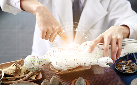 提升國際醫療服務水平