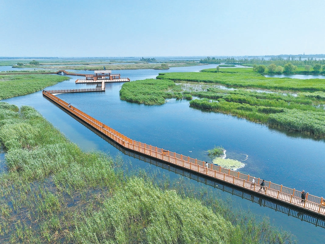 遊客在河北雄安新區白洋澱內遊覽（2024年5月8日攝）。