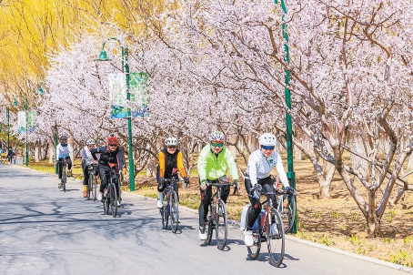春花相伴，騎行愛好者暢遊大運河畔。
