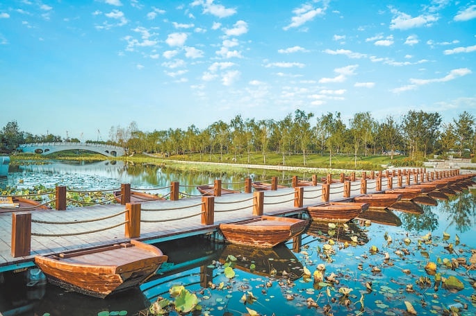 T116路串聯起副中心五大熱門打卡點位，圖為城市綠心森林公園。