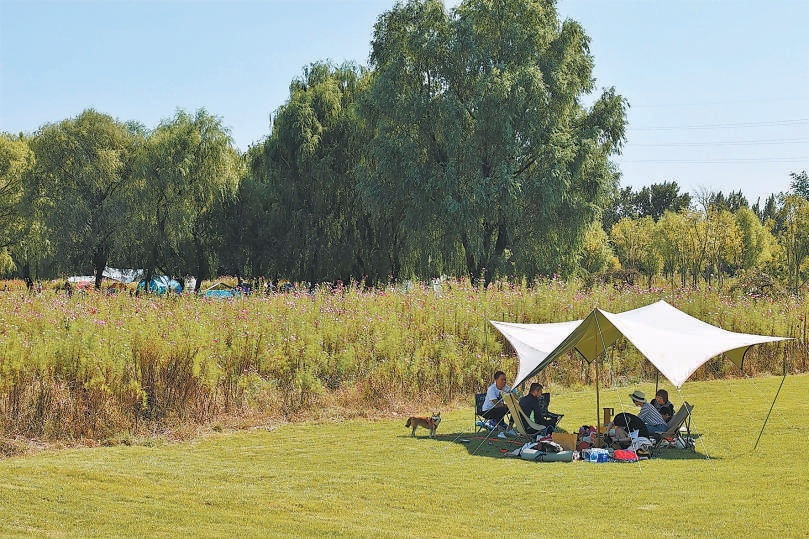 遊人在綠心公園帳篷區享受閑暇時光。