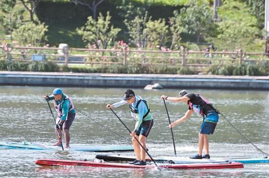 槳板邀請賽選手躬身揮槳，在千年運河之上迎風競逐。