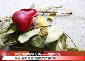 教您如何垃圾分類——廚餘垃圾