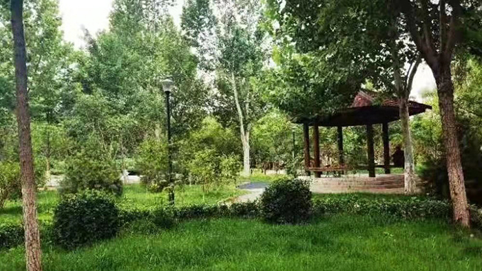 疏整促剪影丨變化天天看：留白增綠 密雲這幾處公園齊亮相