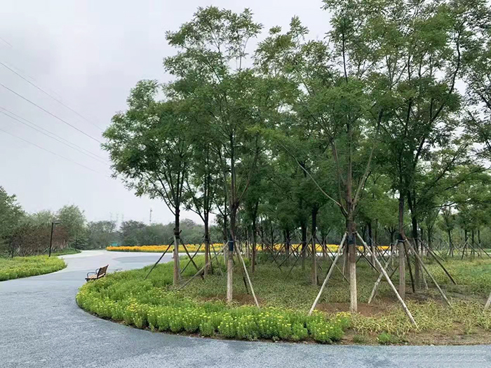疏整促剪影丨變化天天看:長安街西延 這處公園點綴京西 疏整促剪影丨變化天天看:長安街西延 這處公園點綴京西