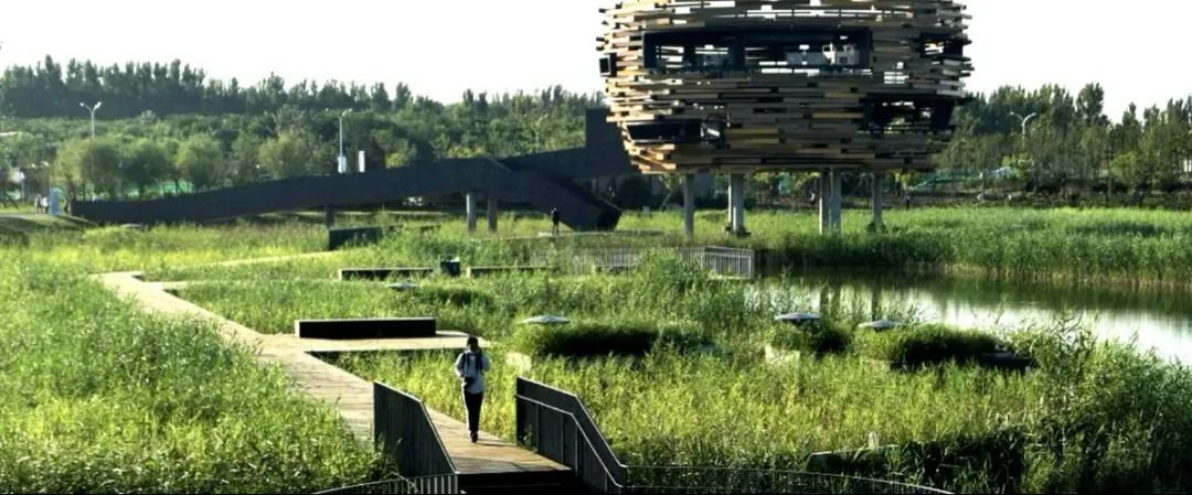 溫榆河公園美景