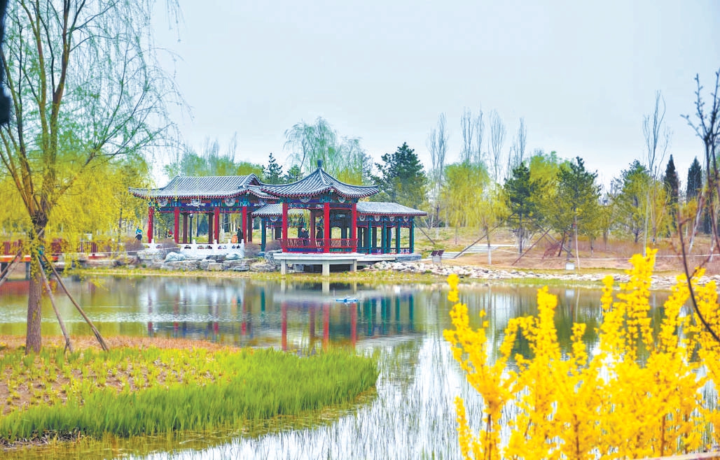 大興區舊宮城市森林春色宜人。