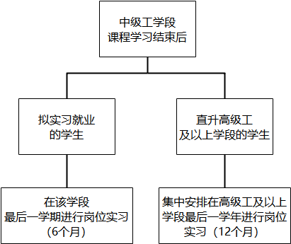 學生崗位實習的時長是多久